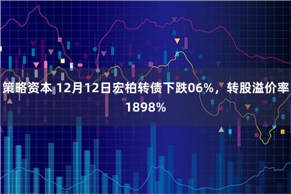 策略资本 12月12日宏柏转债下跌06%，转股溢价率1898%